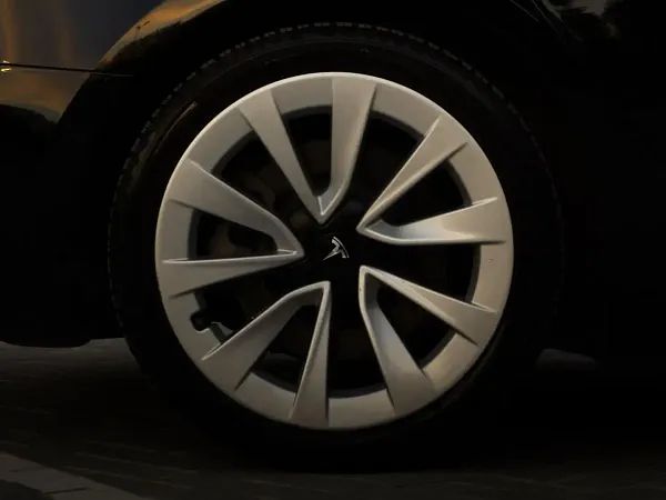 forDailyRentModel 3 Tesla