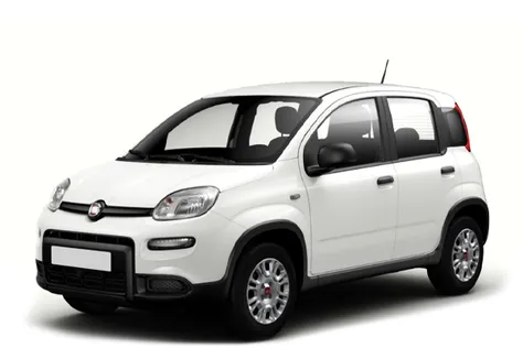 forDailyRentPanda Fiat