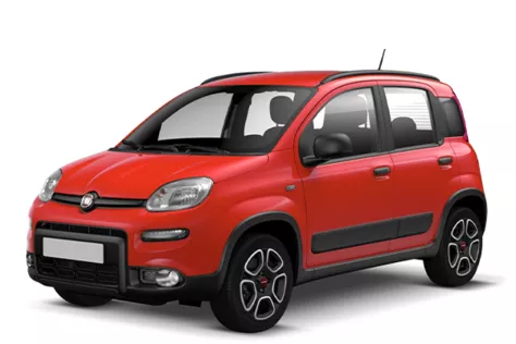 forDailyRentPanda Fiat