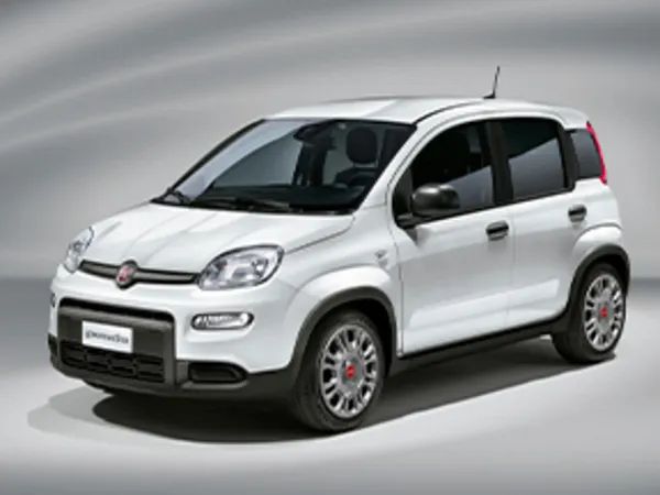 forDailyRentPanda Fiat