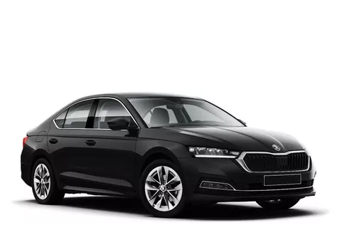forDailyRentOctavia Skoda