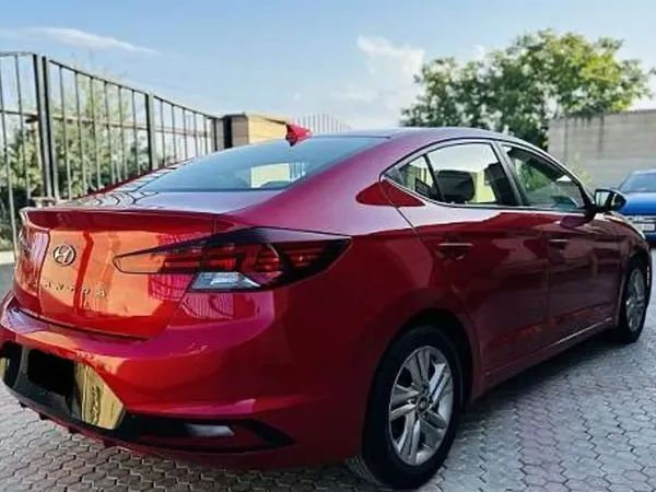 forDailyRentElantra Hyundai