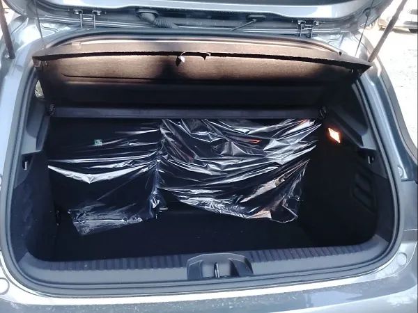 forDailyRentClio Renault