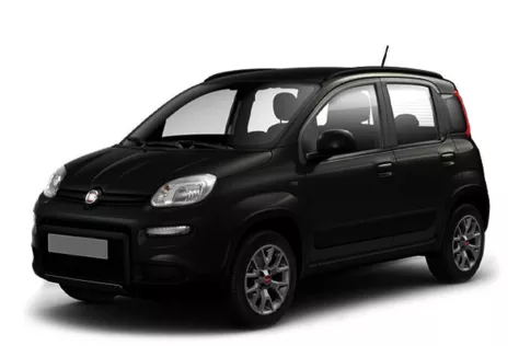 forDailyRentPanda Fiat