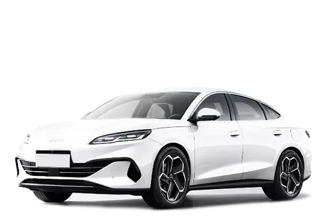 forDailyRentSeal 06 BYD
