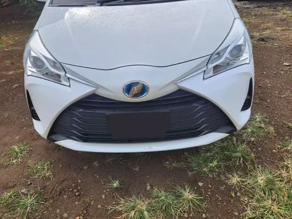 forDailyRentVitz Toyota