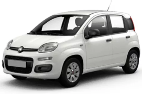 forDailyRentPanda Fiat