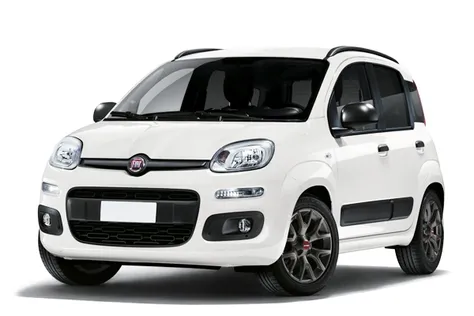 forDailyRentPanda Fiat