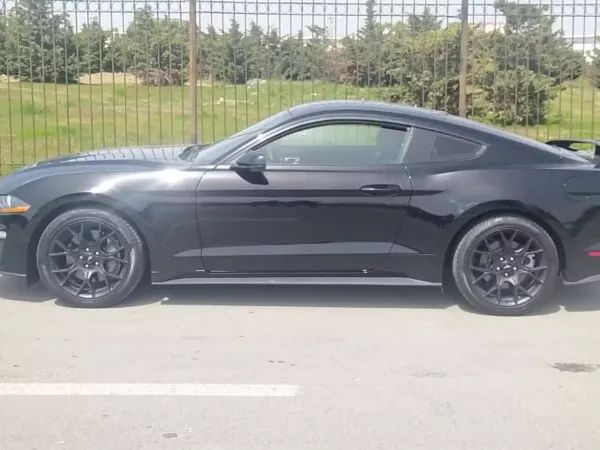 forDailyRentMustang Ford
