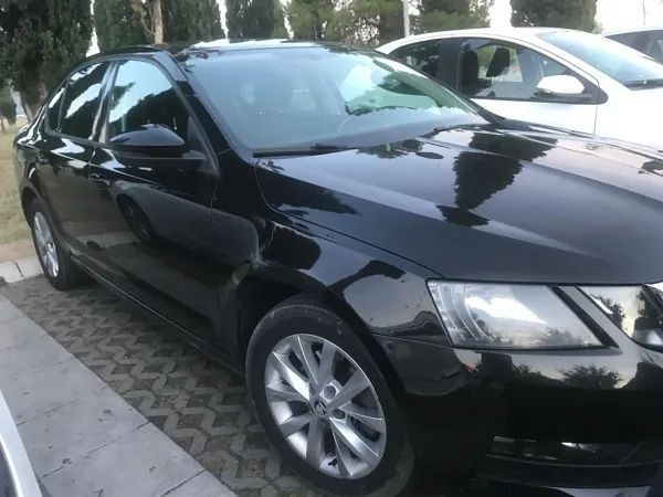 forDailyRentOctavia Skoda