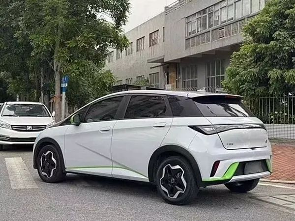 forDailyRentDolphin BYD