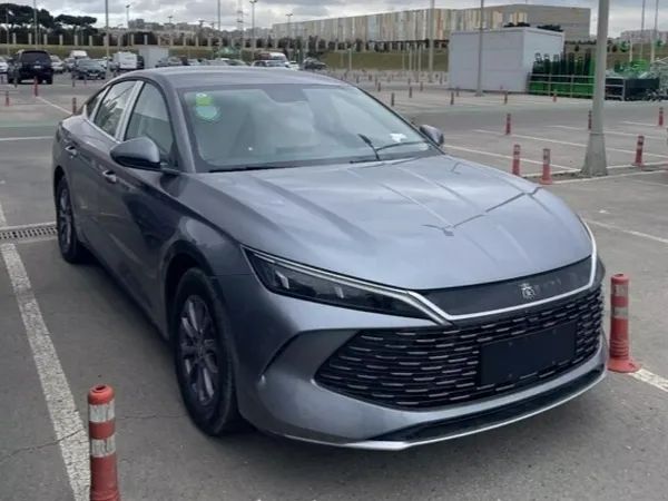 forDailyRentQin L BYD
