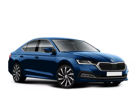 forDailyRentOctavia Skoda