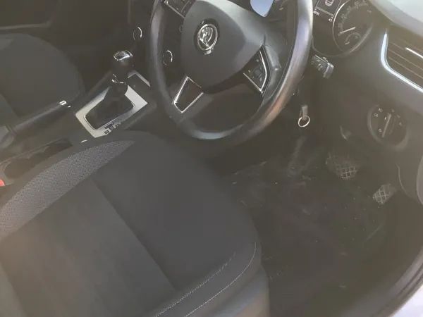 forDailyRentOctavia Skoda