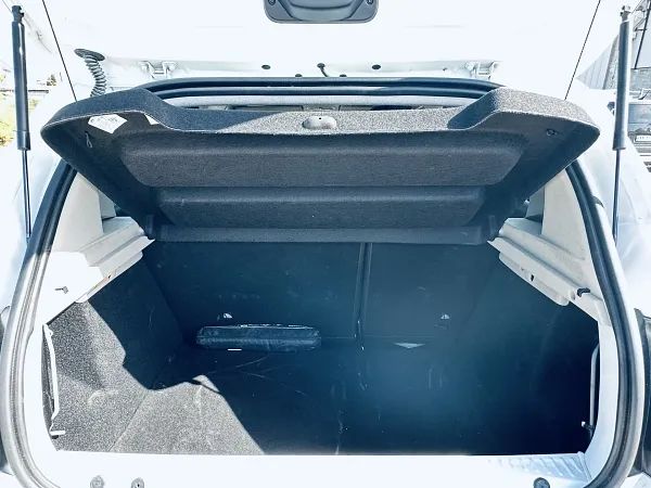 forDailyRentSandero Stepway Dacia