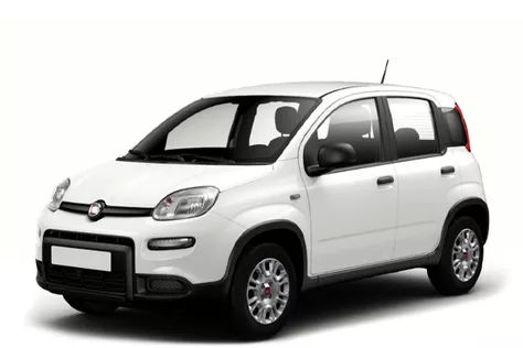 forDailyRentPanda Fiat