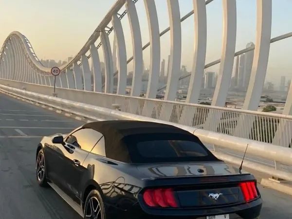 forDailyRentMustang Ford