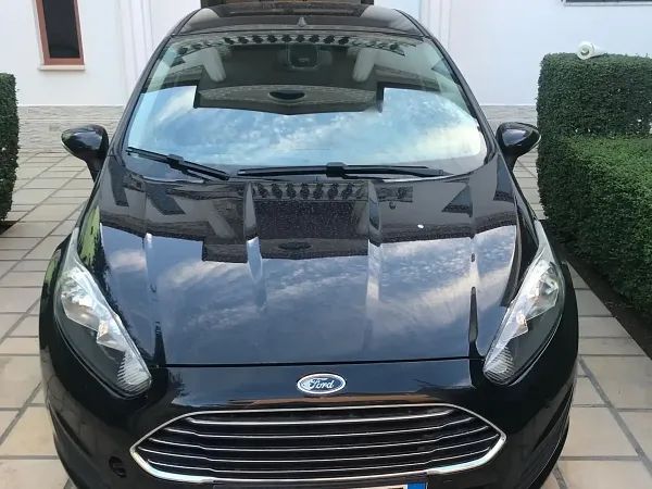 forDailyRentFiesta Ford