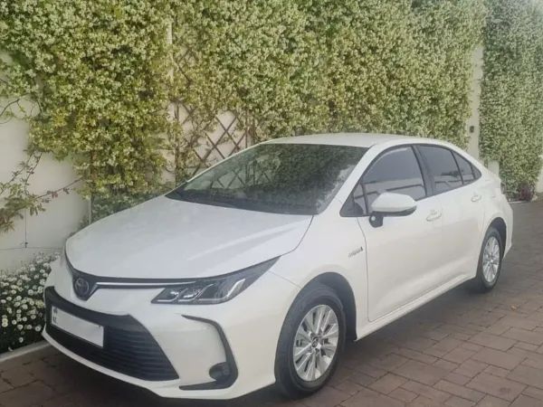 forDailyRentCorolla Toyota