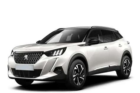forDailyRent2008 Peugeot