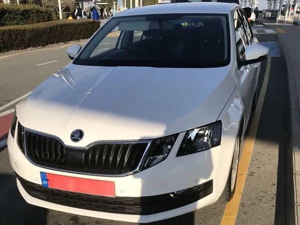 forDailyRentOctavia Skoda