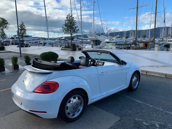 forDailyRentBeetle Volkswagen