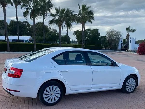 forDailyRentOctavia Skoda