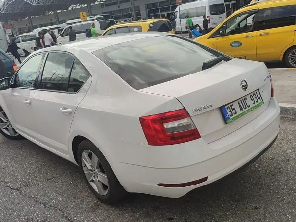 forDailyRentOctavia Skoda