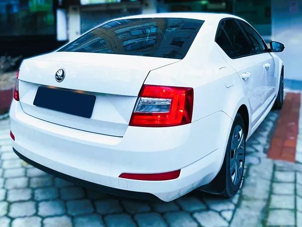 forDailyRentOctavia Skoda