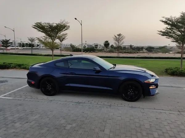 forDailyRentMustang Ford