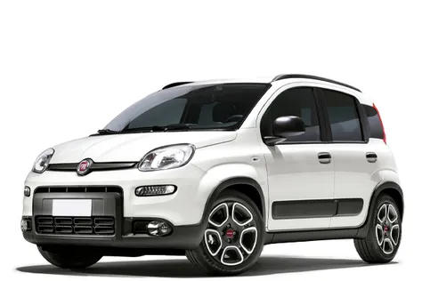 forDailyRentPanda Fiat